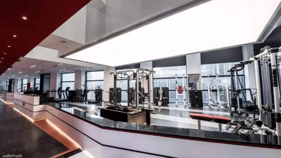 aangepaste kleurrijke snelheidspoorten