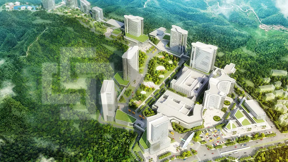 Ziekenhuissnelheidspoort